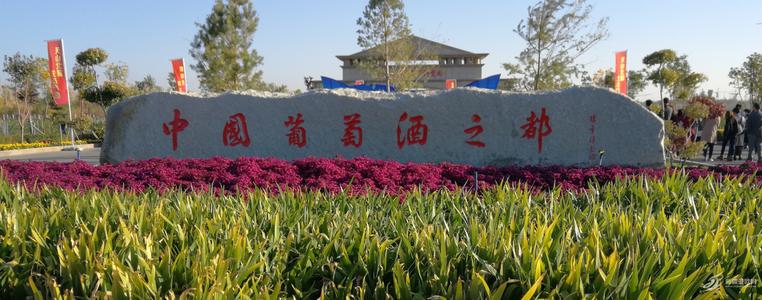 守護(hù)“中國(guó)葡萄酒之都”， 上百臺(tái)優(yōu)測(cè)溫設(shè)備應(yīng)用于新疆瑪納斯縣